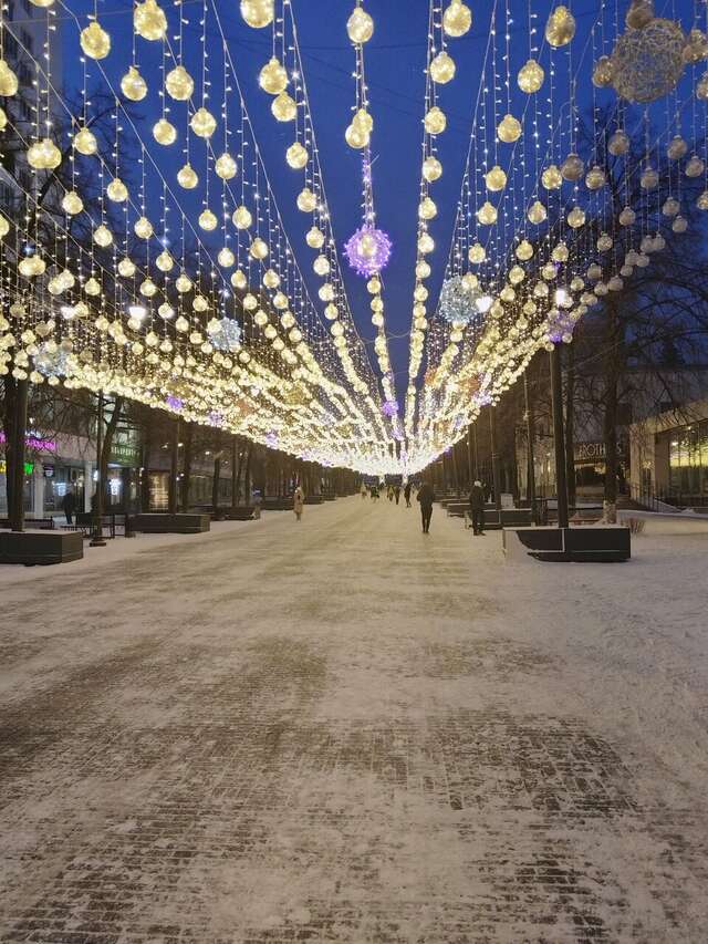 Гостиница Персона Челябинск-123